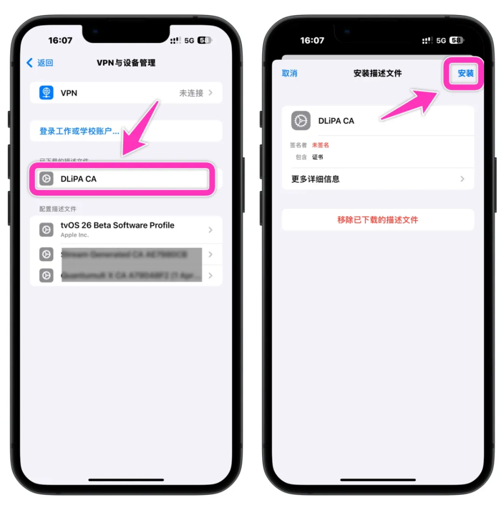 图片[7]-DLiPA应用降级工具，无需越狱，无需巨魔-小昕官网