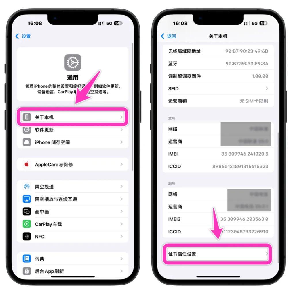 图片[8]-DLiPA应用降级工具，无需越狱，无需巨魔-小昕官网