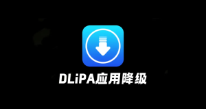 DLiPA应用降级工具,无需越狱,无需巨魔-小昕官网